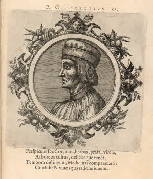 Vol.%20Y%2060%2C%20tav.%2065